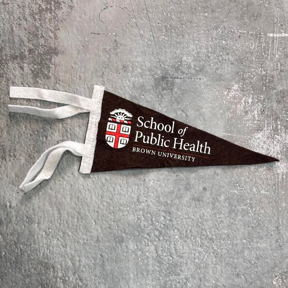 Vintage Brown University School Of Public Health Oxford Pennant
